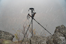 Load image into Gallery viewer, 3rd Leg