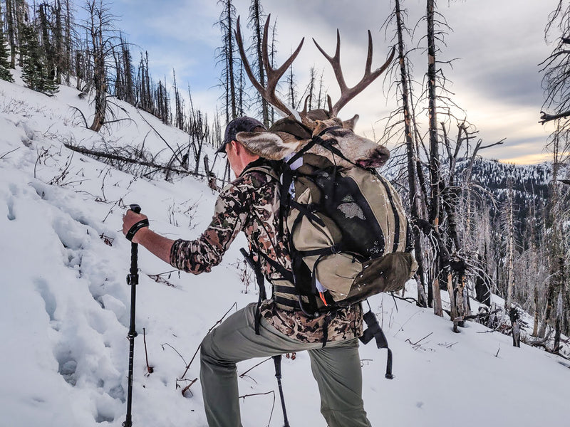 Should you Hunt with Trekking Poles?